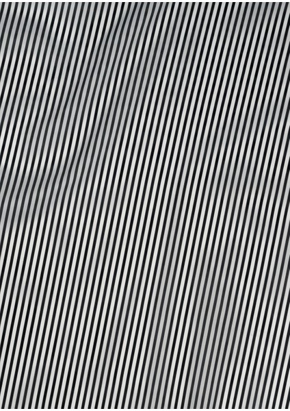 Çizgi Akışı Vinil Backdrop – Minimal Siyah Beyaz Fotoğraf Arka Planı (80×120 Cm) fiyatları