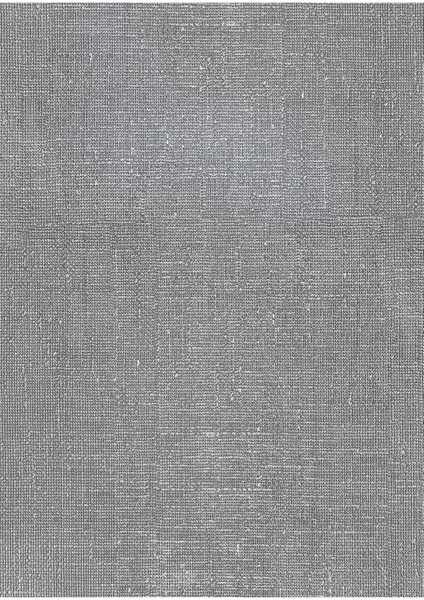 Dokulu Gri Vinil Backdrop – Profesyonel Fotoğraf ve Video Çekim Arka Planı (80×120 Cm)