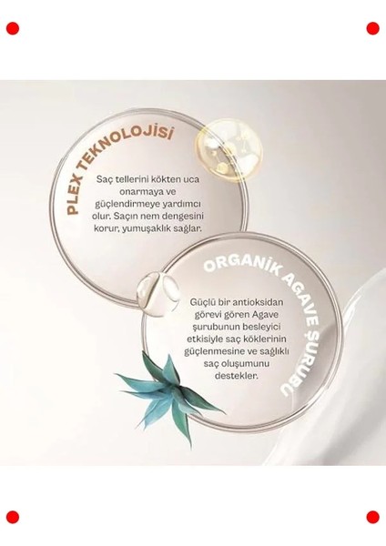 Yıpranma Karşıtı Sülfatsız Saç Bakım Şampuanı Vegan 350 ml indirimleri