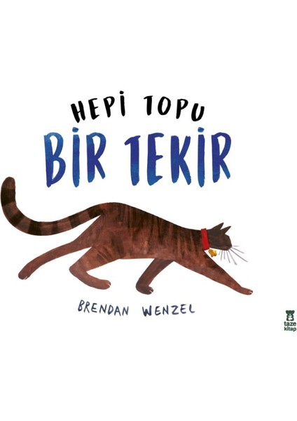Hepi Topu Bir Tekir
