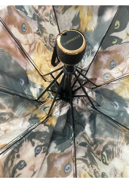 Kedi Desenli 8 Telli Manuel Rüzgara Dayanıklı Şemsiye modelleri