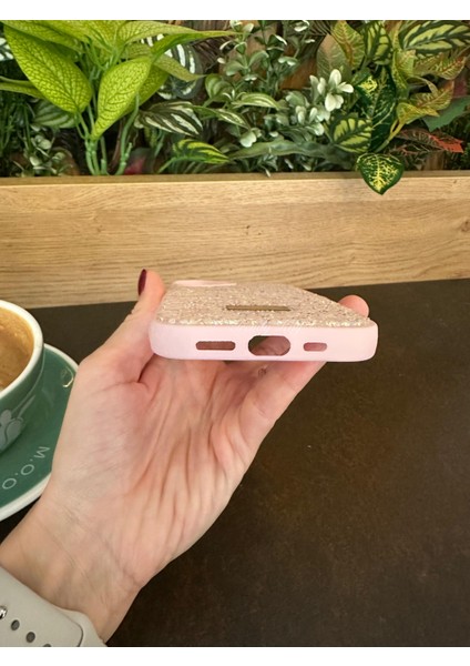 iPhone (16) Uyumlu Lüks Taşlı Kılıf modelleri