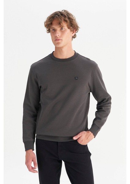 Small Logo Antrasit Erkek Sweatshirt W252025533W