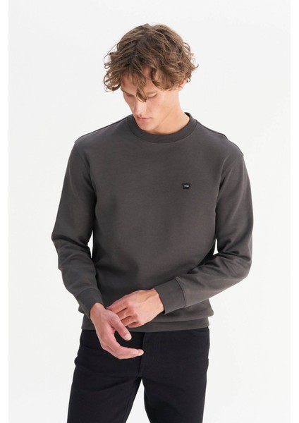 Small Logo Antrasit Erkek Sweatshirt W252025533W modelleri