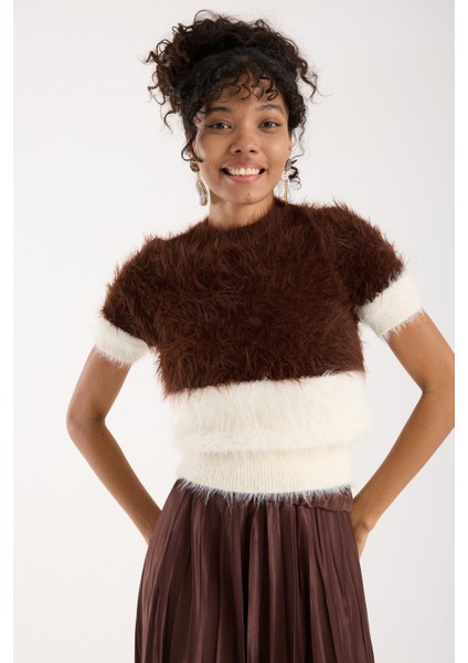 Kadın Kahve-Ekru Sakal Iplik Iki Renkli Kısa Kollu Bisiklet Yaka Triko Kazak