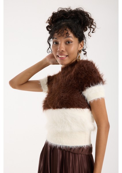 Kadın Kahve-Ekru Sakal Iplik Iki Renkli Kısa Kollu Bisiklet Yaka Triko Kazak modelleri