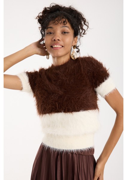 Kadın Kahve-Ekru Sakal Iplik Iki Renkli Kısa Kollu Bisiklet Yaka Triko Kazak