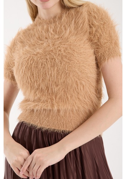 Kadın Bej Sakal Iplik Kısa Kollu Bisiklet Yaka Triko Kazak modelleri