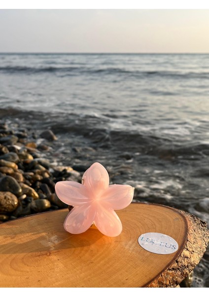 Açık Pembe Renk Lotus Toka