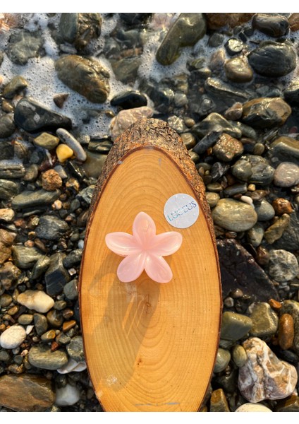 Açık Pembe Renk Lotus Toka fiyatları