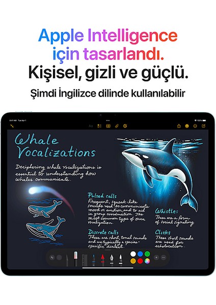 11 Inç iPad Air M3 Wi-Fi 512 GB Tablet Mavi (MCA94TU/A)