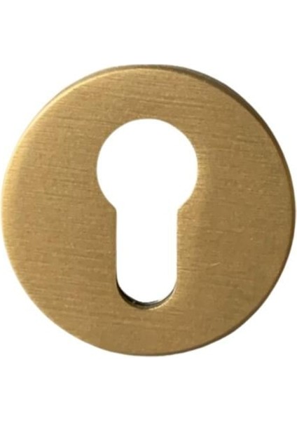 RO22 Kapı Kolu Rozeti Yale (Dış Kapı) Fırçalı Mat Altın 52X52X5 mm