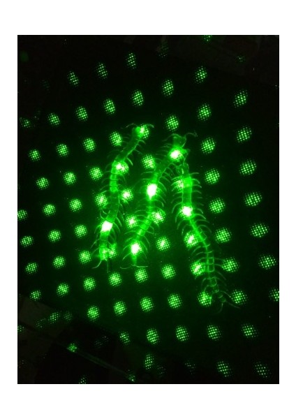 Şaka Yılan ve Kırkayak Karışık 36 Adet modelleri