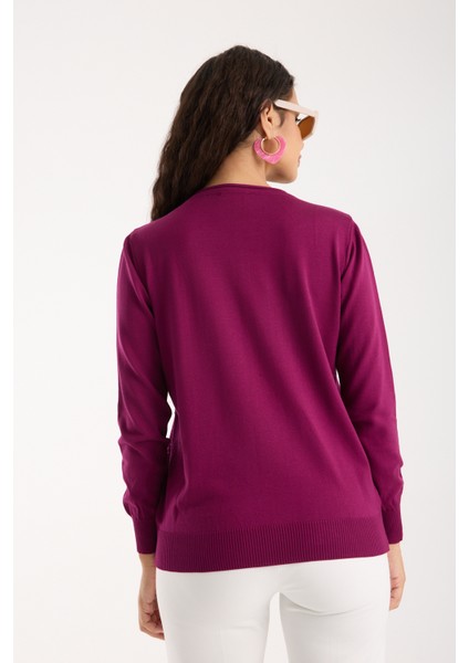 Kadın Mürdüm Elit Viskon Kumaş Taş ve Inci Detaylı Yuvalak Yaka Triko Bluz fırsatları