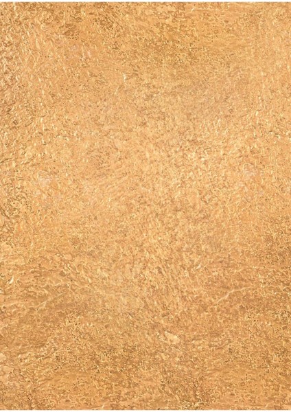 Işık Yüzeyi Vinil–metalik Dokulu Profesyonel Fotoğraf ve Video Çekim Arka Planı (80×120 Cm) fiyatları