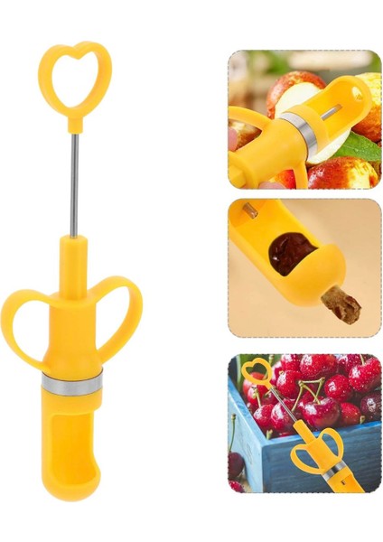 Çekirdek Çıkarıcı Makine