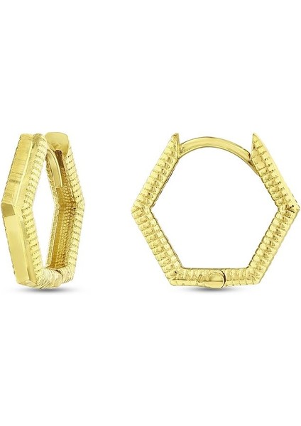 Tasarım Altın Küpe - 14K