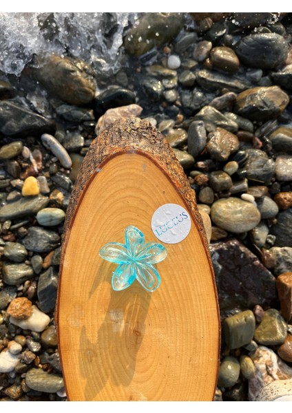 Şeffaf Mavi Renk Lotus Toka