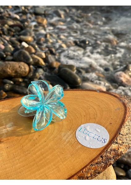 Şeffaf Mavi Renk Lotus Toka fiyatları