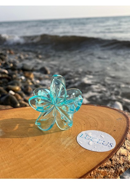 Şeffaf Mavi Renk Lotus Toka modelleri