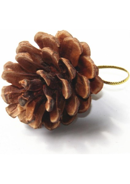 Doğal Görünümlü Yılbaşı Ağacı Kozalak Süsü Seti (6 Adet) 6 cm | Rustik Kış Konsepti Çam Kozalağı Dekoratif Askı modelleri