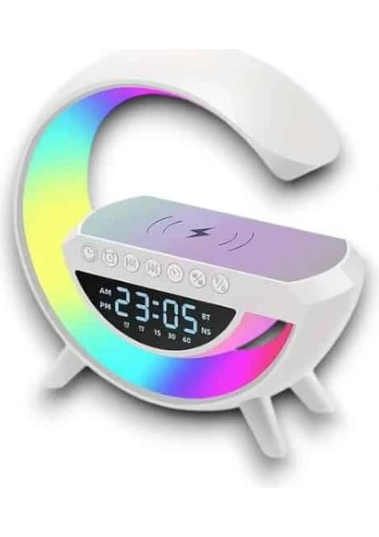 Google Dijital modelleri