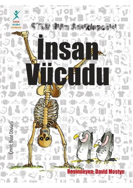 Insan Vücudu