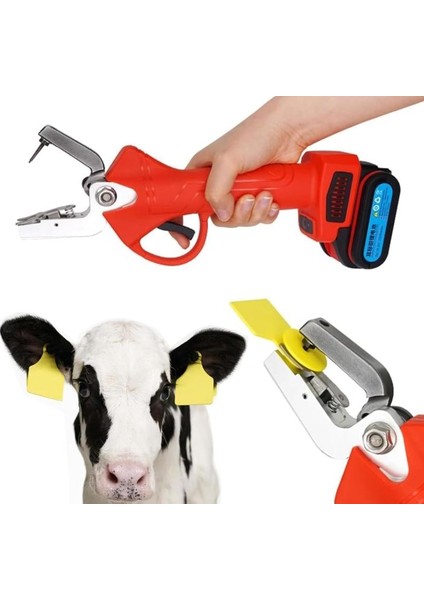 Akülü Küpe Takma Pensi