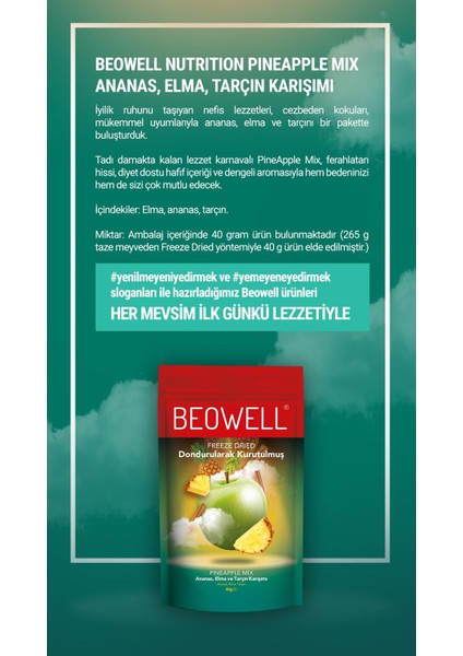 Pineapple Mix – Freeze Dried Dondurularak Kurutulmuş Meyve Karışımı fiyatları
