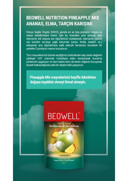 Pineapple Mix – Freeze Dried Dondurularak Kurutulmuş Meyve Karışımı modelleri