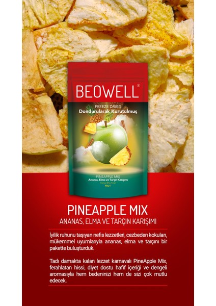 Pineapple Mix – Freeze Dried Dondurularak Kurutulmuş Meyve Karışımı indirimleri