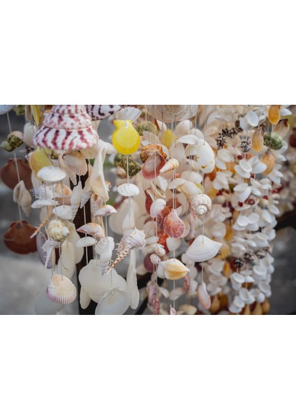 Doğal Deniz Kabuğu Sanatsal ve Dekoratif Süs (300 Gr) fırsatları