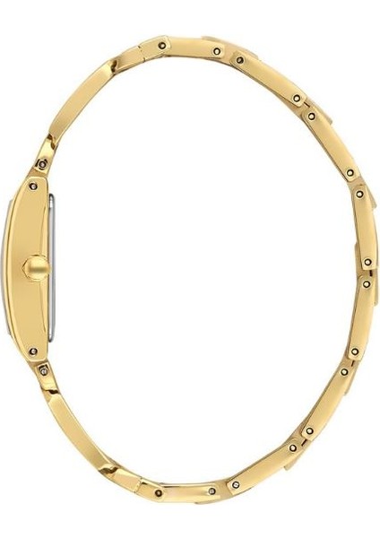 DK.3.10052-4 Kadın Kol Saati fiyatları