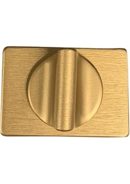 RO15 Kapı Kolu Rozeti Wc Fırçalı Mat Altın 53X37X11 mm