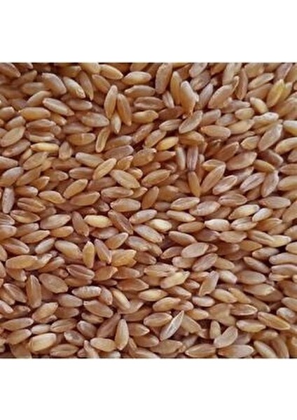 Ekbera - 25 kg Yemlik Buğday Tane Güvercin - Tavuk Yemi ( Sarı Tane) fiyatları