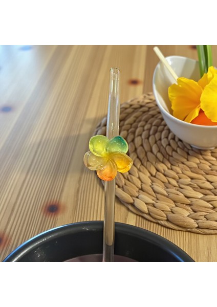 Cam Pipet Renkli Çiçek 1 Adet fiyatları