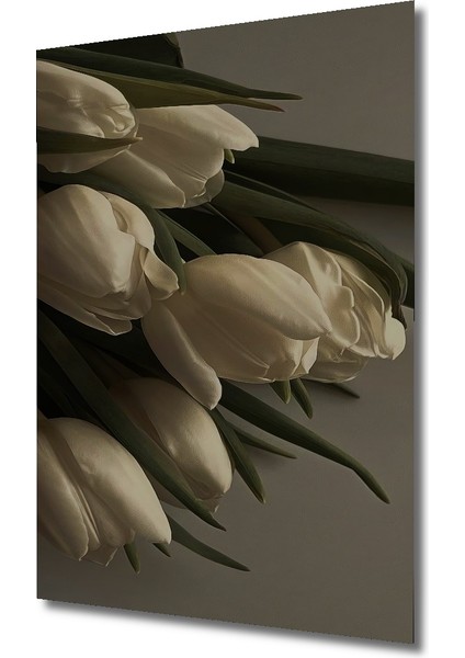 Beyaz Lale Yağlı Boya Görünümlü Ahşap Dekoratif Tablo Dikdörtgen Tablo modelleri