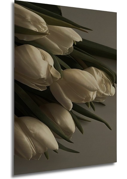 Beyaz Lale Yağlı Boya Görünümlü Ahşap Dekoratif Tablo Dikdörtgen Tablo fırsatları