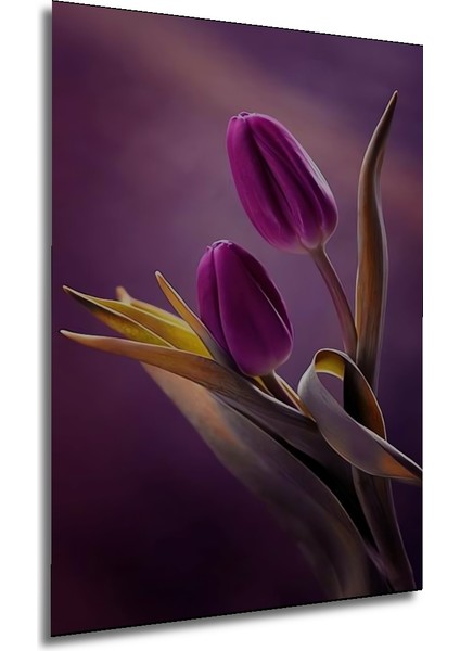 Mor Lale Suluboya Görünümlü Dekoratif Ahşap Tablo Dikdörtgen Tablo fırsatları