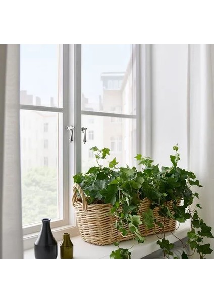 Flodbjörk Çiçeklik Açık Gri Kahverengi 54 x 21 cm Dış Mekan Için Uygundur modelleri