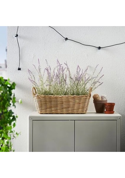 Flodbjörk Çiçeklik Açık Gri Kahverengi 54 x 21 cm Dış Mekan Için Uygundur fırsatları