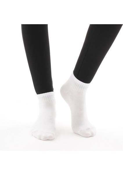 3'lü Bileği Fitilli Sade Ekru Kadın Çorap fiyatları