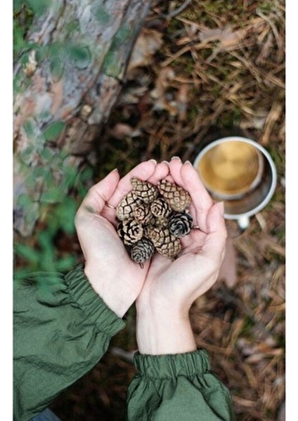 Kozak Vakfı Kozalak Şurubu 125 ml fırsatları