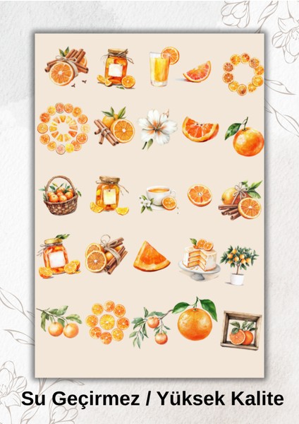 Portakal Temalı Sticker Ajanda Bullet Journal YRM041