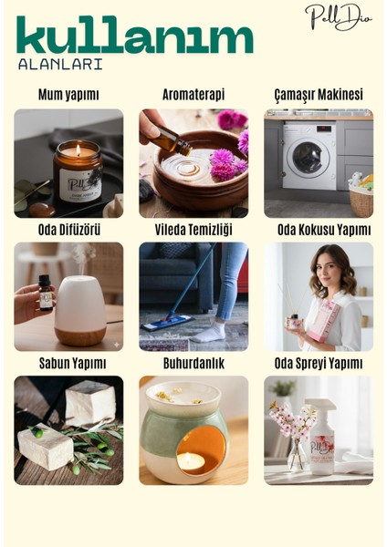 Mango Esansiyel Uçucu Koku Yağı Buhurdanlık Yağı Difüzör Esansı Hobi Esans Ortam Oda 10ML fırsatları