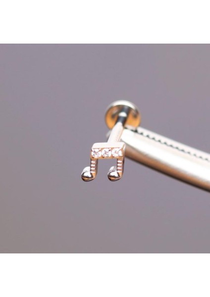 Yüksek Kalite G23 Titanium Nota Zirkon Titanyum 6x1.2mm Labret Piercing