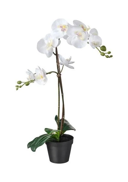 Fejka Yapay Bitki Beyaz 12 cm Orkide
