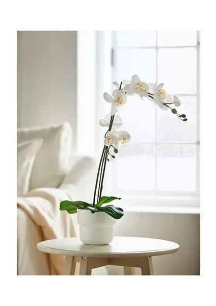 Fejka Yapay Bitki Beyaz 12 cm Orkide fiyatları