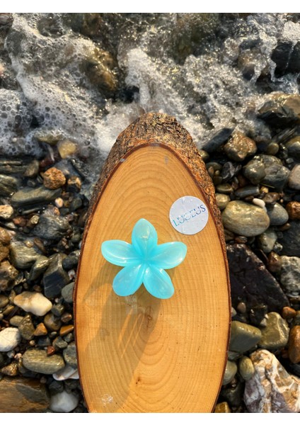 Mavi Lotus Toka fiyatları