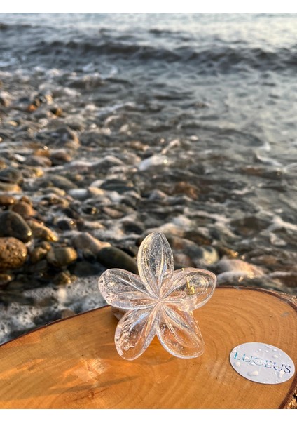 Şeffaf Simli Lotus Toka